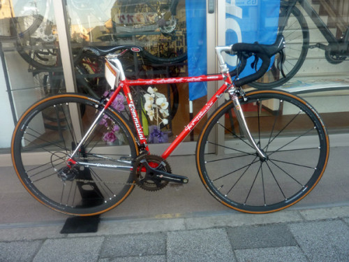 午年にちなんだ、ロードバイク有ります。