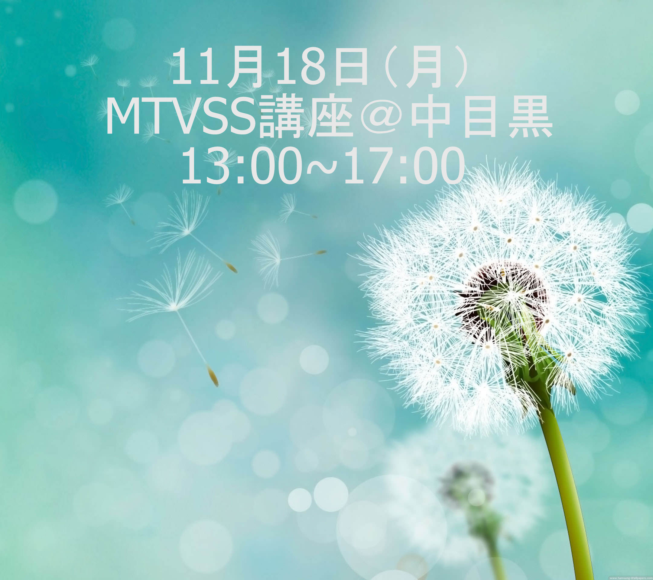 11/18（月）MTVSS講座13：00～17：00