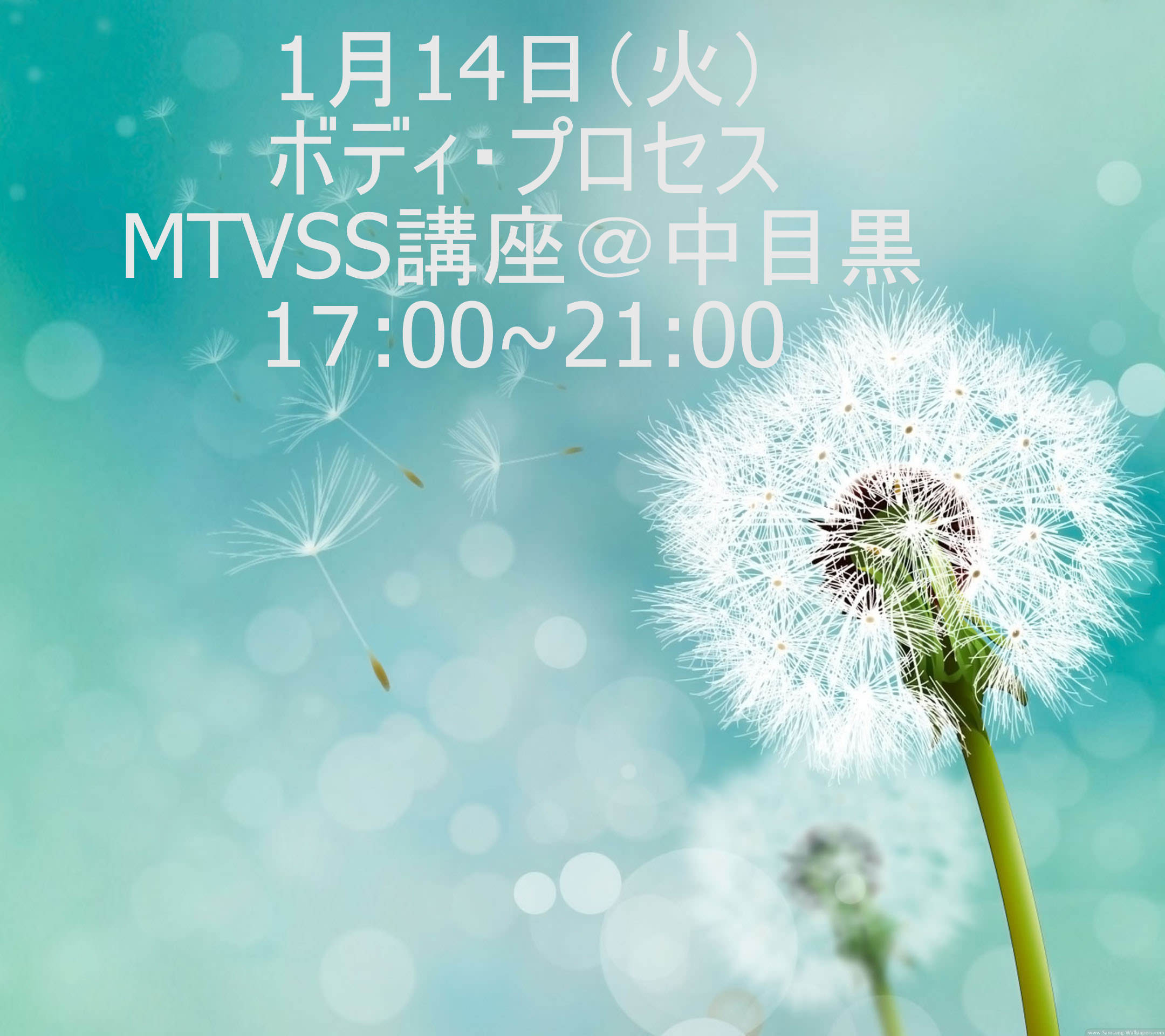 1/14　MTVSS講座17：00～21：00