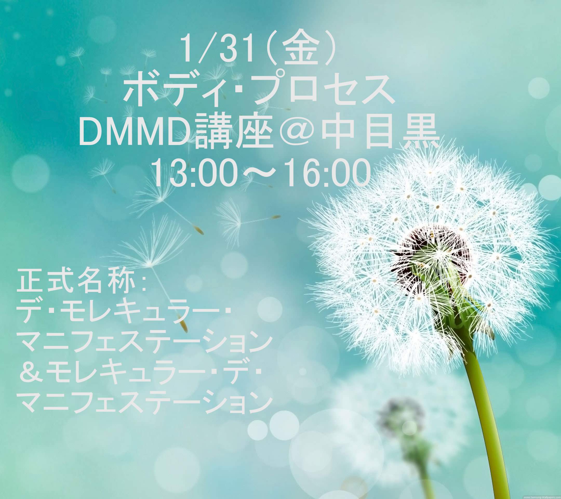 1/31（金）DMMD講座13：00～16：00