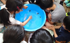 8月7日、共和町主催の子ども向けニホンザリガニ体験観察会に協力しました