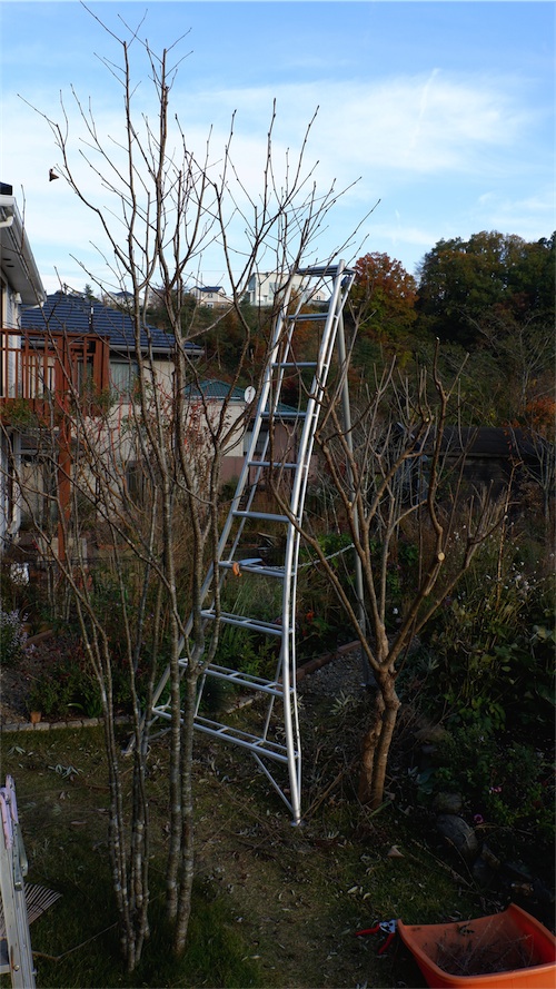 DSCF2294.jpg
