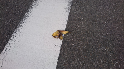 道路にバナナの皮が！