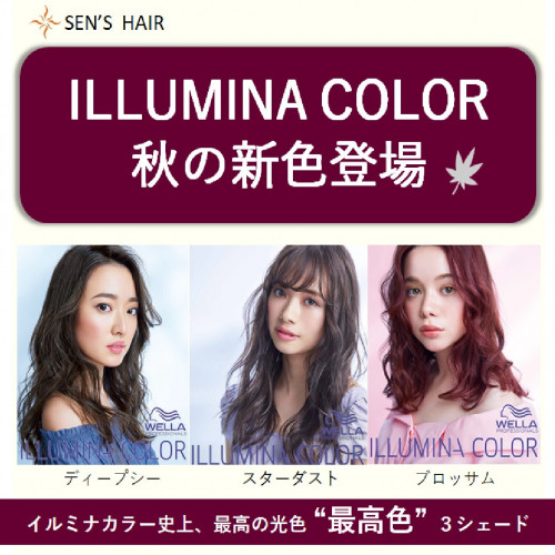 イルミナカラー 2019秋の新色登場☆彡