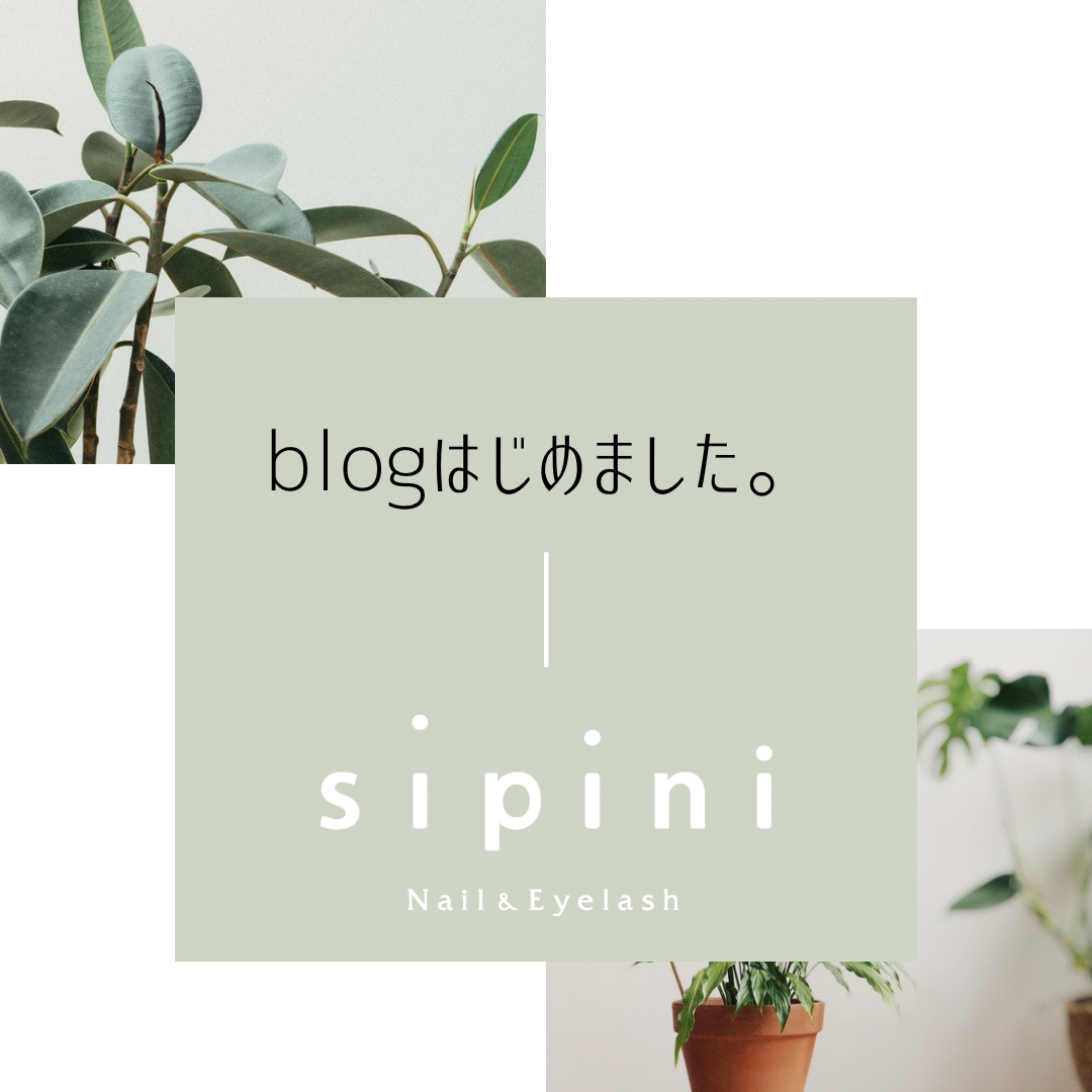 blogを始めました。