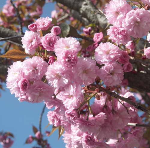 2026年3月20日 新しく生まれ変わります