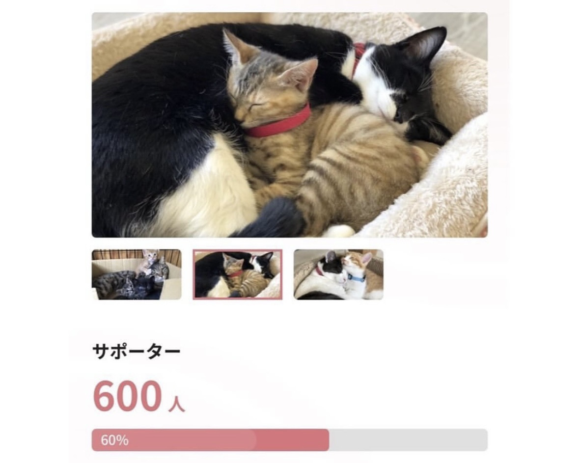 1,000人プロジェクト参加者600人を超え