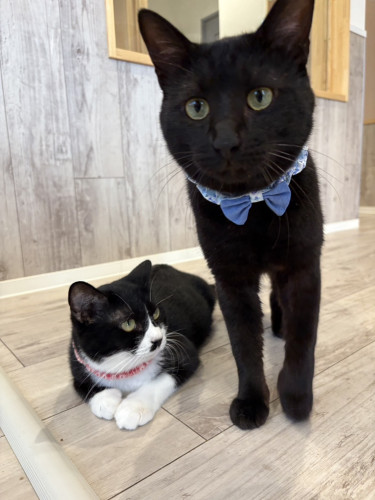 ライくん、ウニちゃん正式譲渡