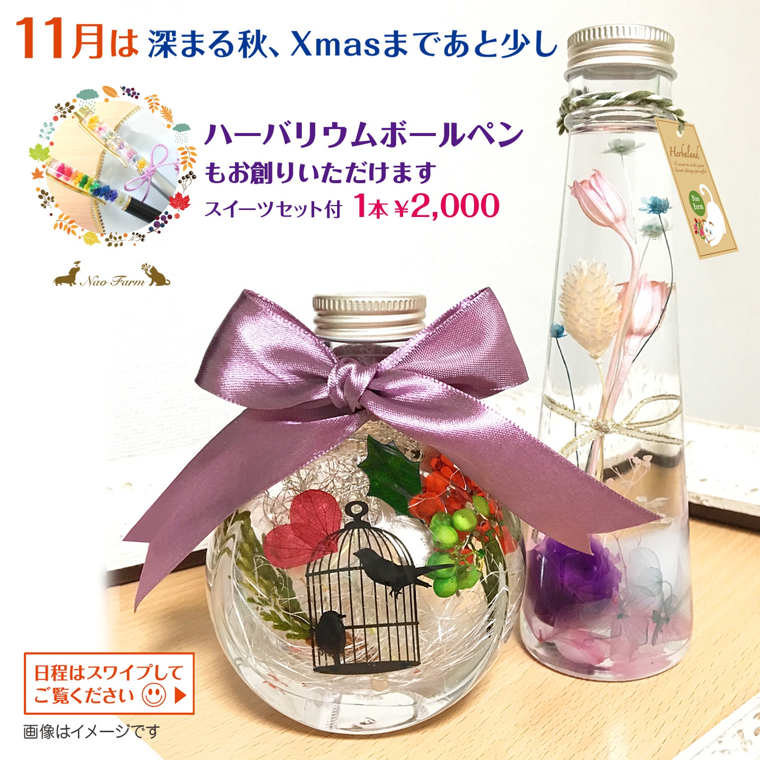 11月日程1.jpg