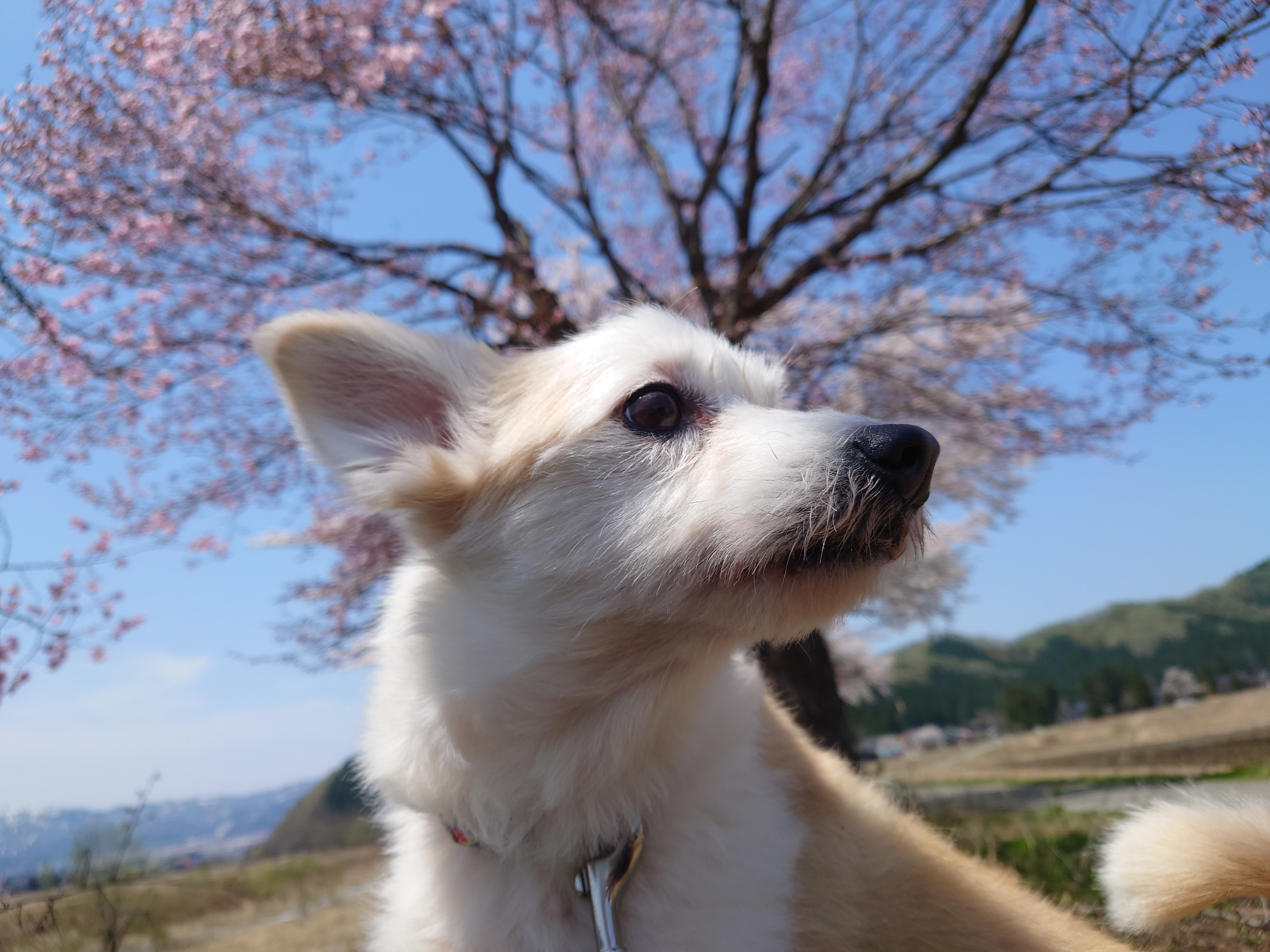DSC_1170.JPG