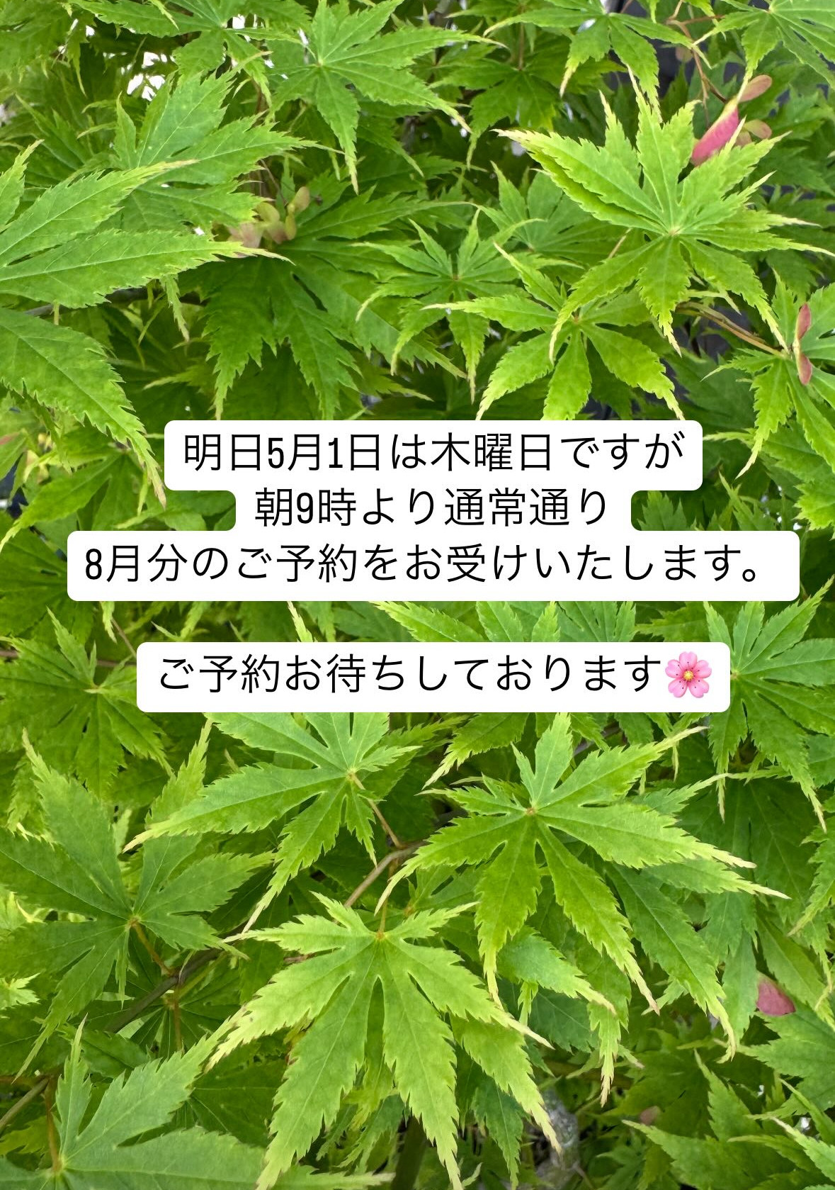 8月分のご予約について