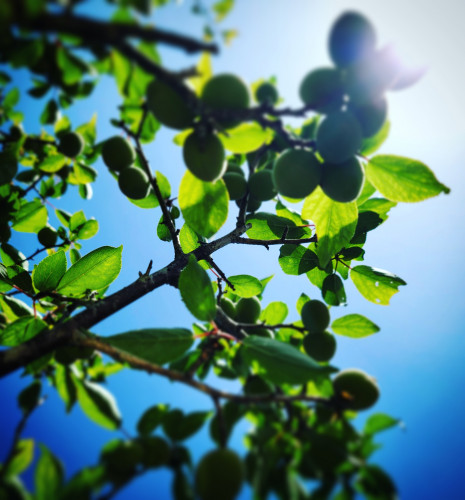 🌤️人生をエンジョイするための自己改革を行う🌤️