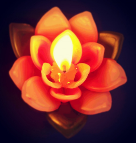 💛知恵を磨いて前進する💛