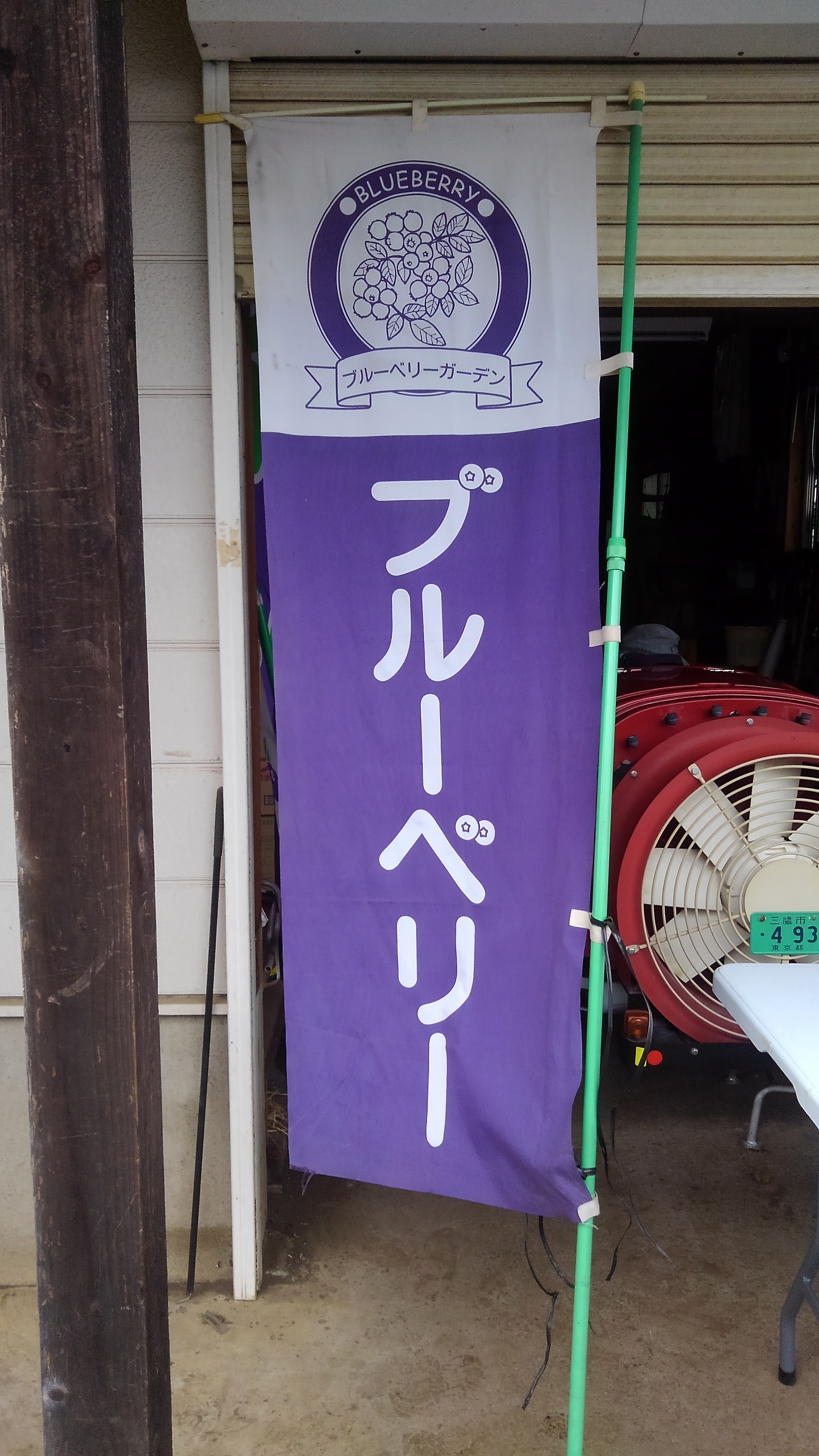 ブルーベリーつみ取り販売のお知らせ