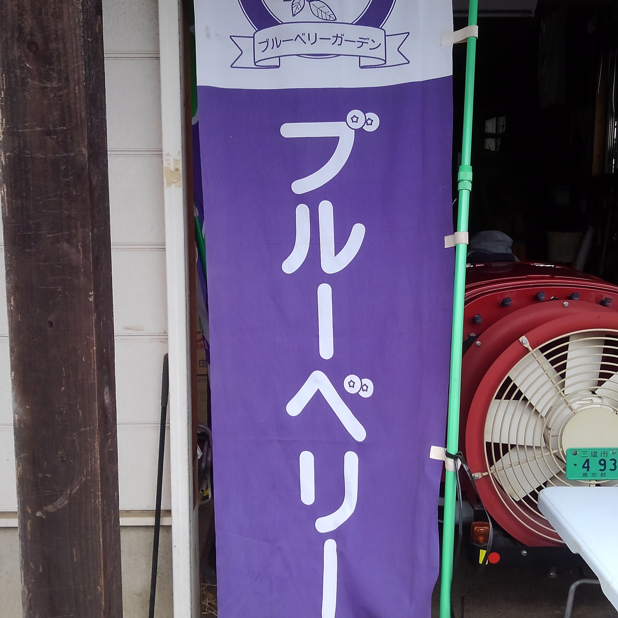 7月9日のブルーベリーつみ取り販売のお知らせ