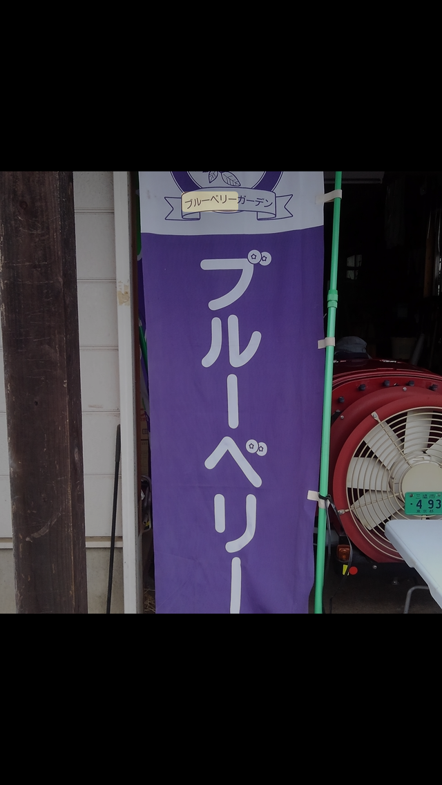 7月17日(水)のブルーベリーつみ取り販売のお知らせ