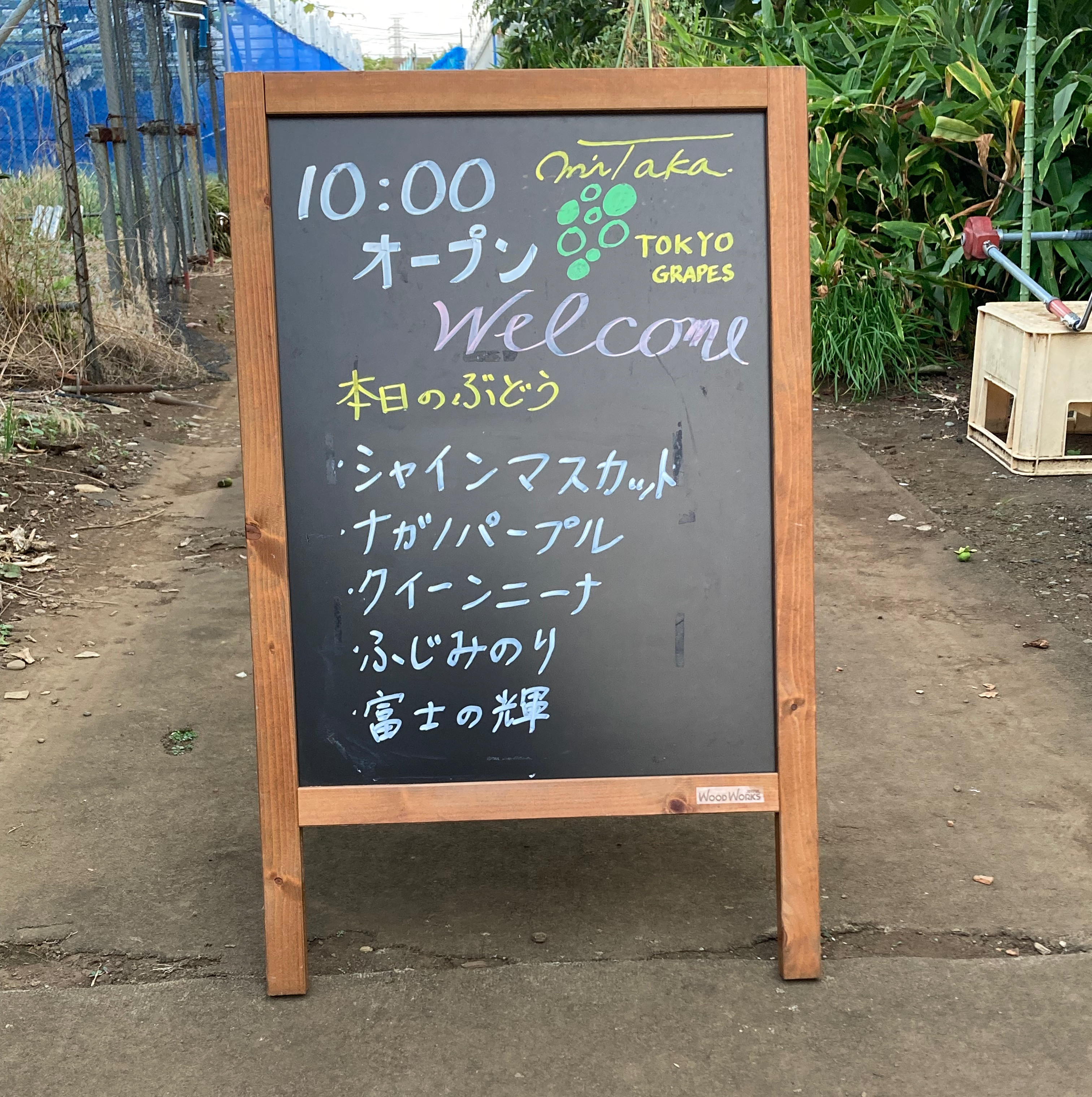 8月24日(日)のぶどう直売のお知らせ