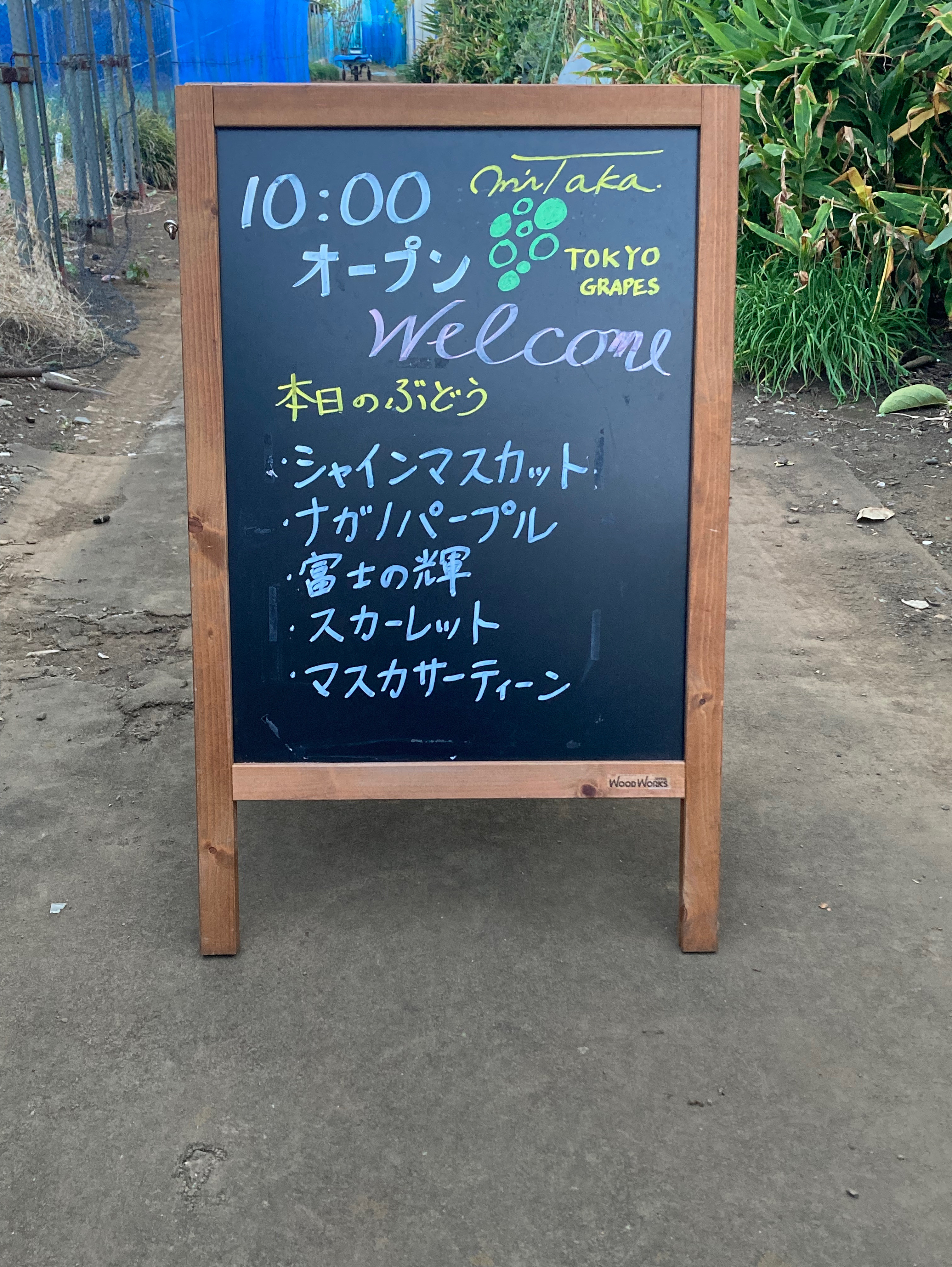 8月27日(水)のぶどう直売のお知らせ