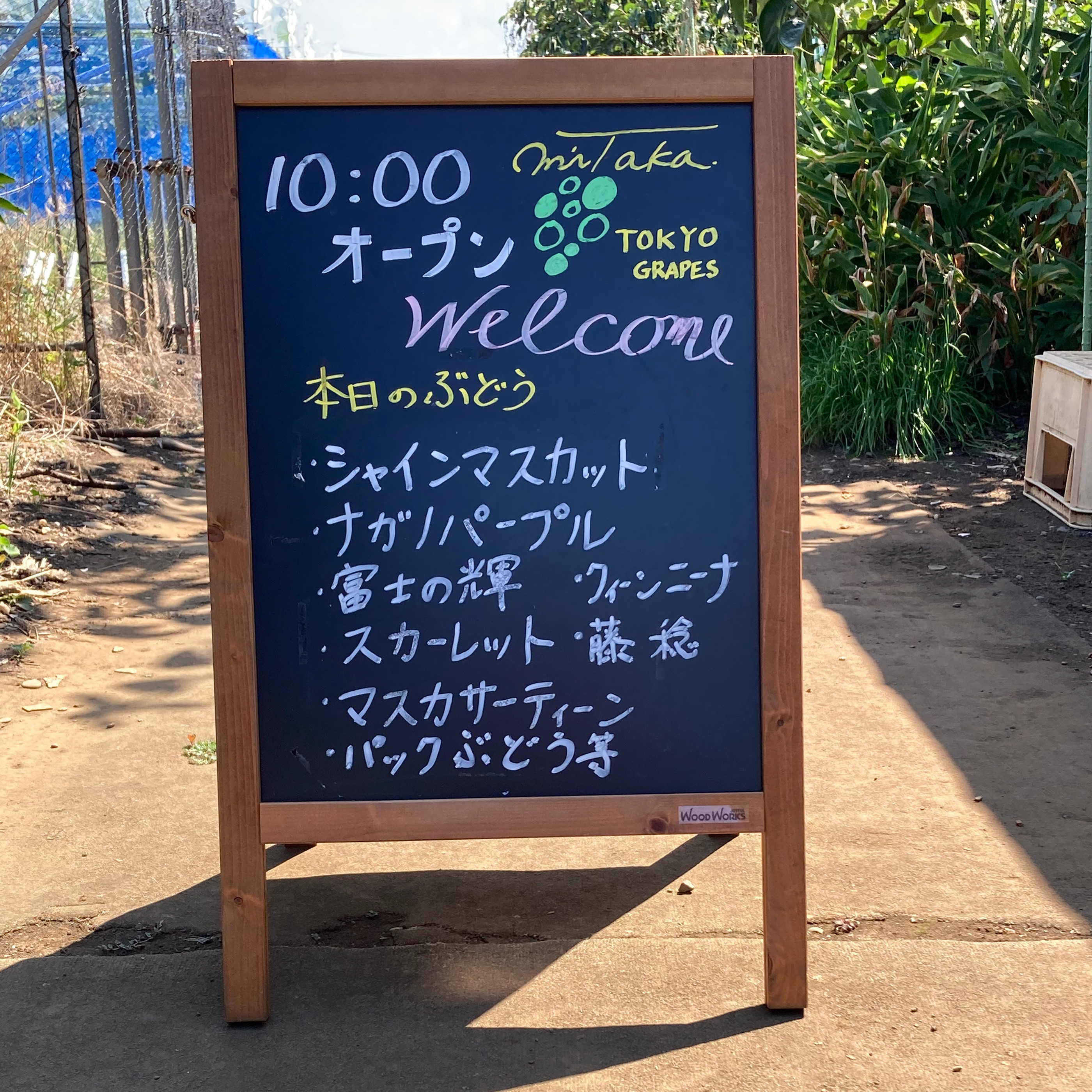 8月31日(日)のぶどう直売のお知らせ