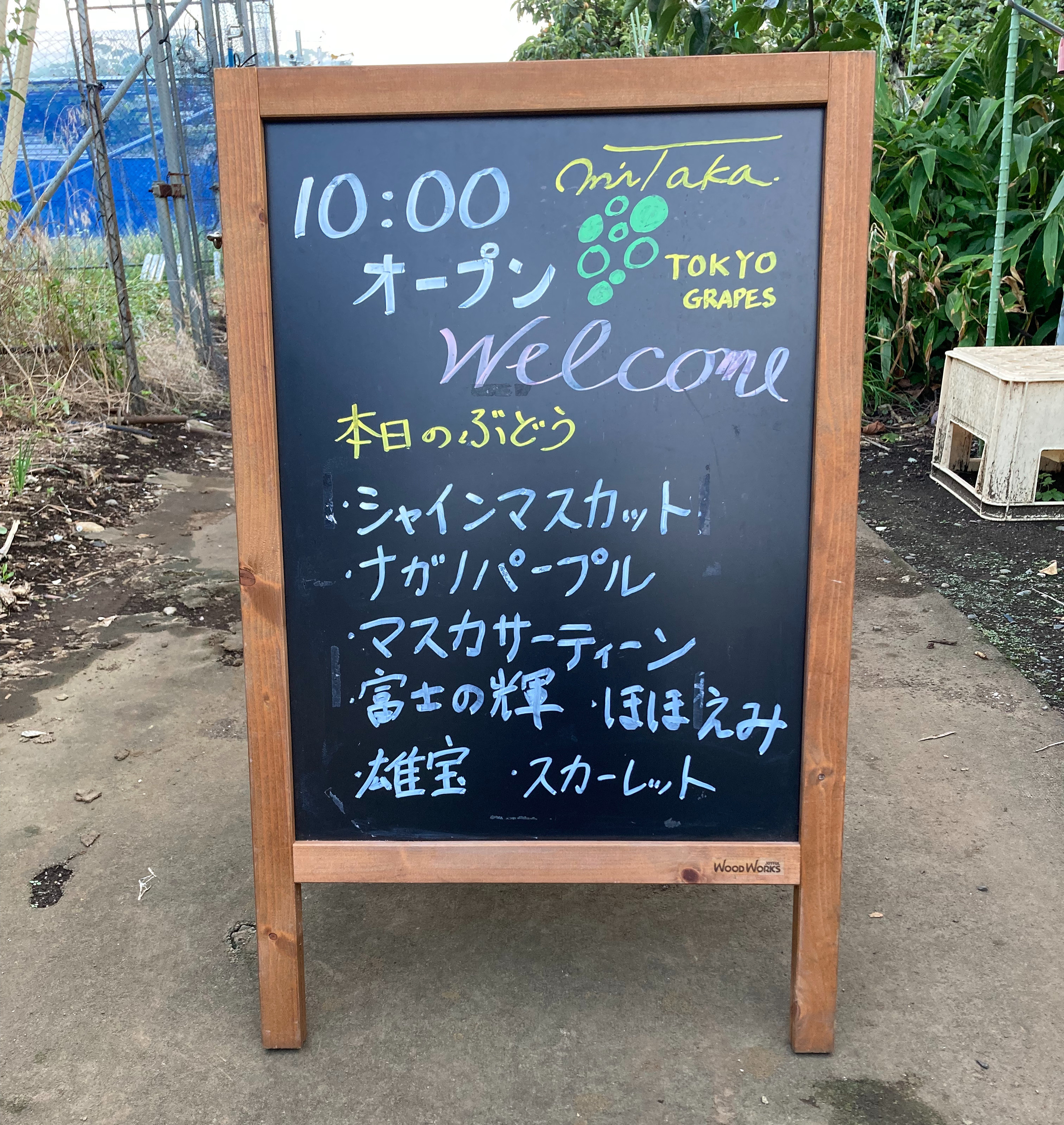 9月7日(日)のぶどう直売のお知らせ