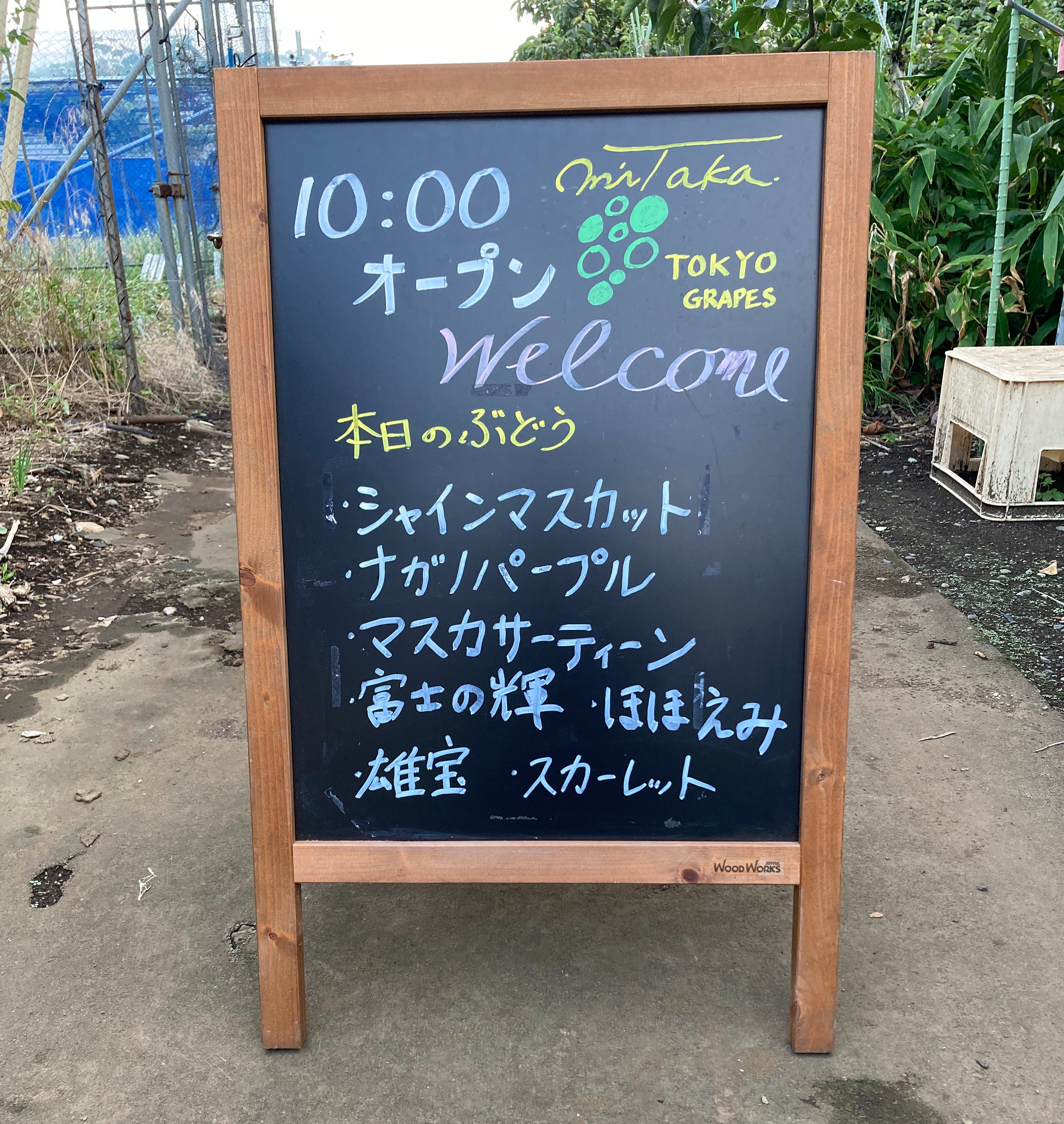 9月10日(水)のぶどう直売のお知らせ