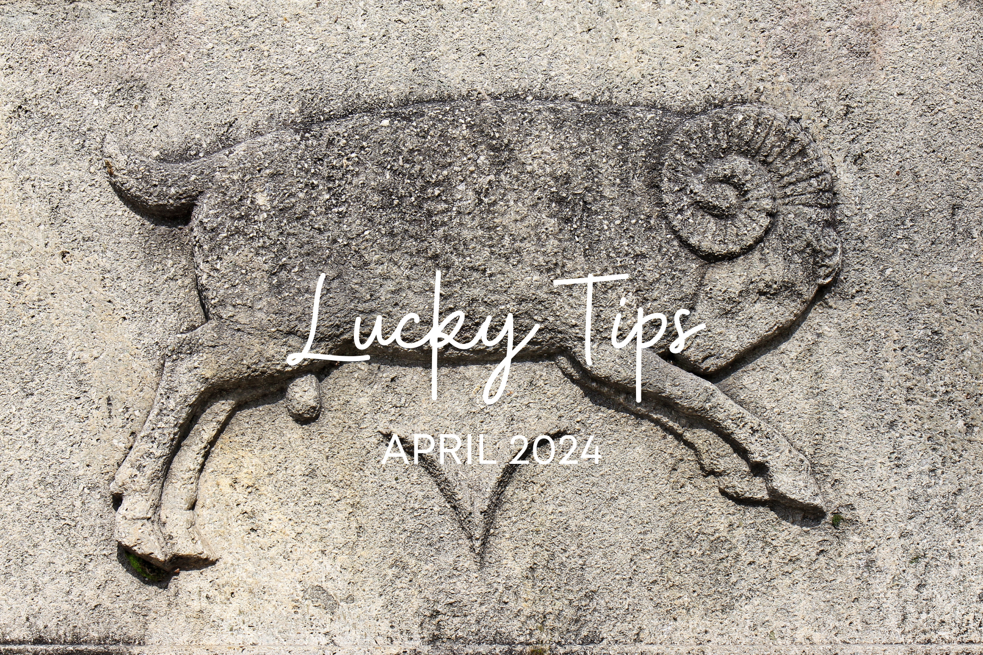 今月のLucky Tips~幸運の鍵