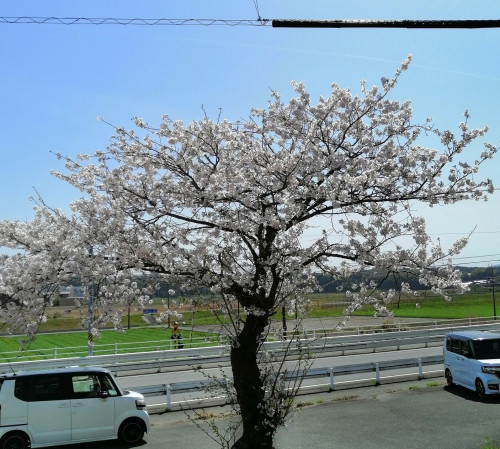 2ヶ月ぶり・・・