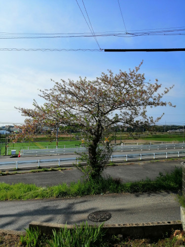 また来年…