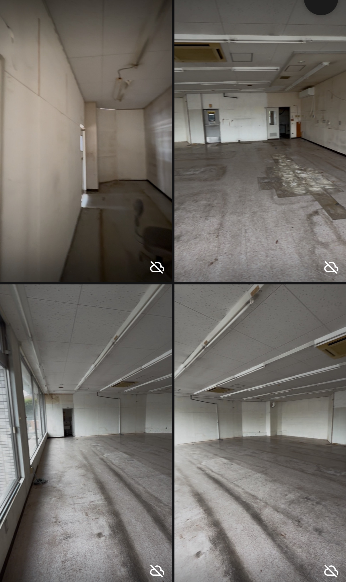 三浦市 『室内ドッグラン+海鮮料理』