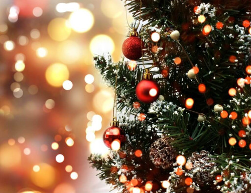 お知らせ 1日2組限定 クリスマス特別ディナー今年は開催します!