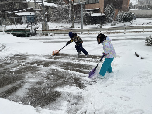 雪かき