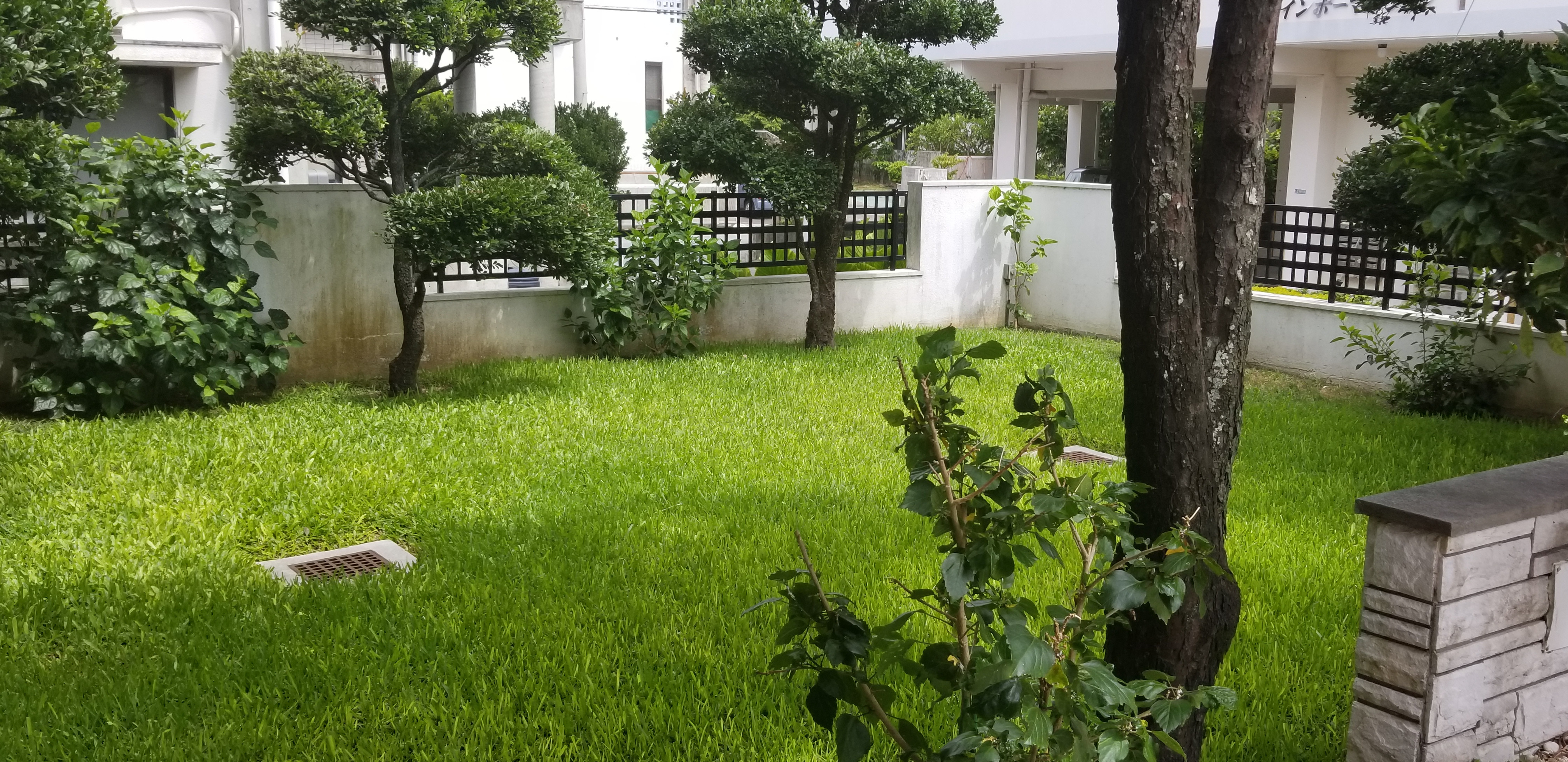 20180628_142347.jpg