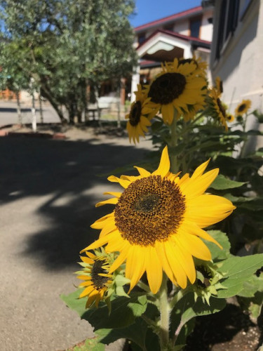 【お知らせ】夏期のお休み期間について