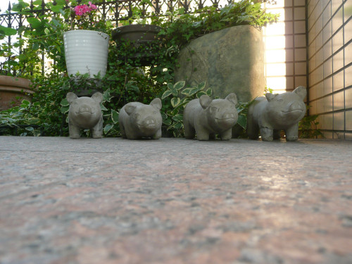 機能性ディスペプシアと漢方