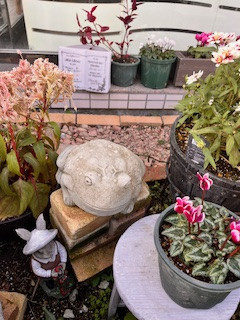 悪玉コレステロール値が上がる食事は少なくしていこう