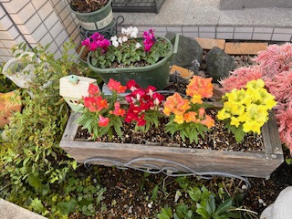 進行している動脈硬化