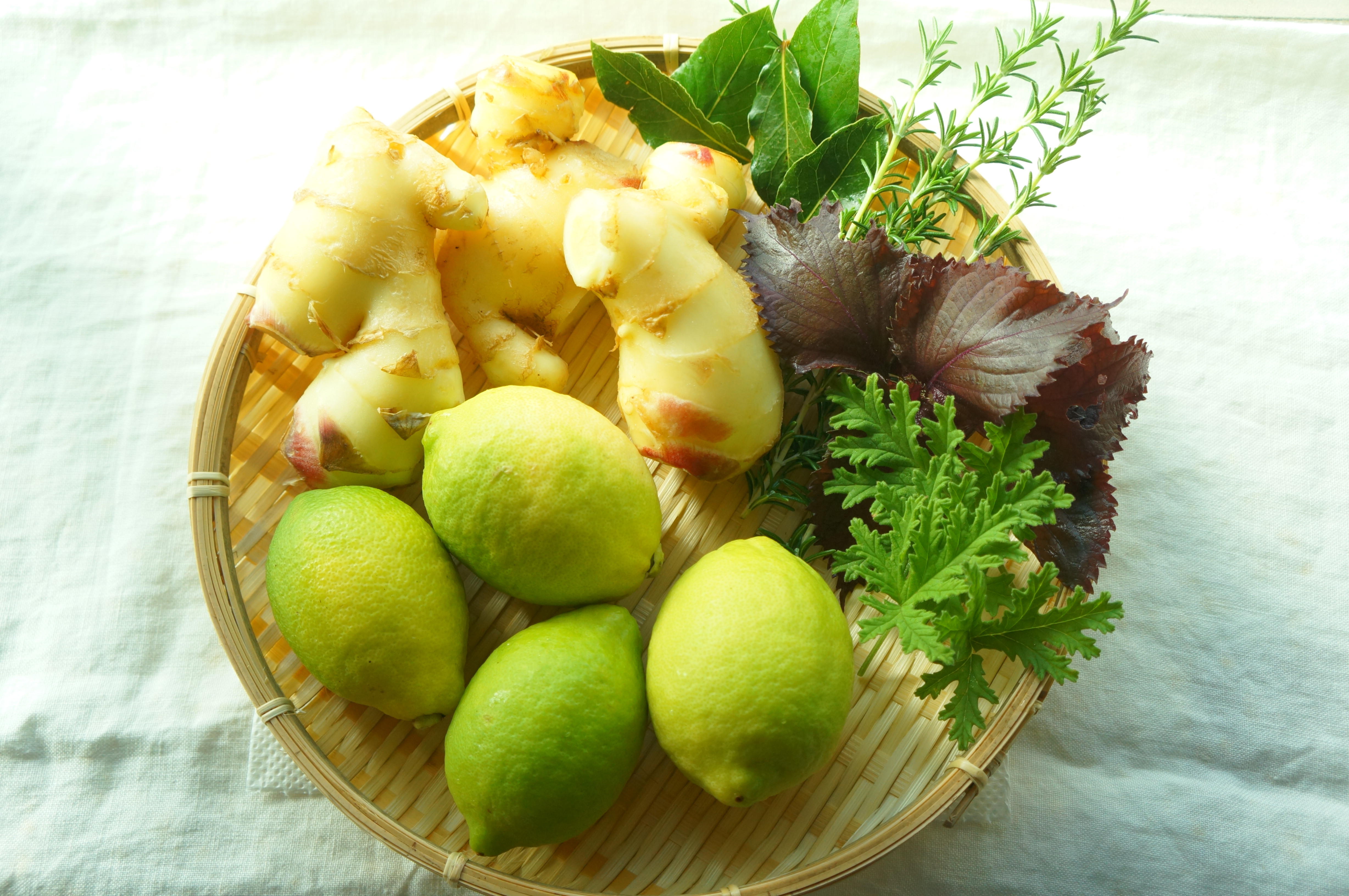DSC08884.JPG