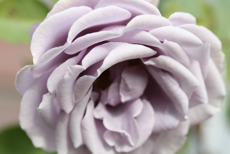 IMG_7176-2.png