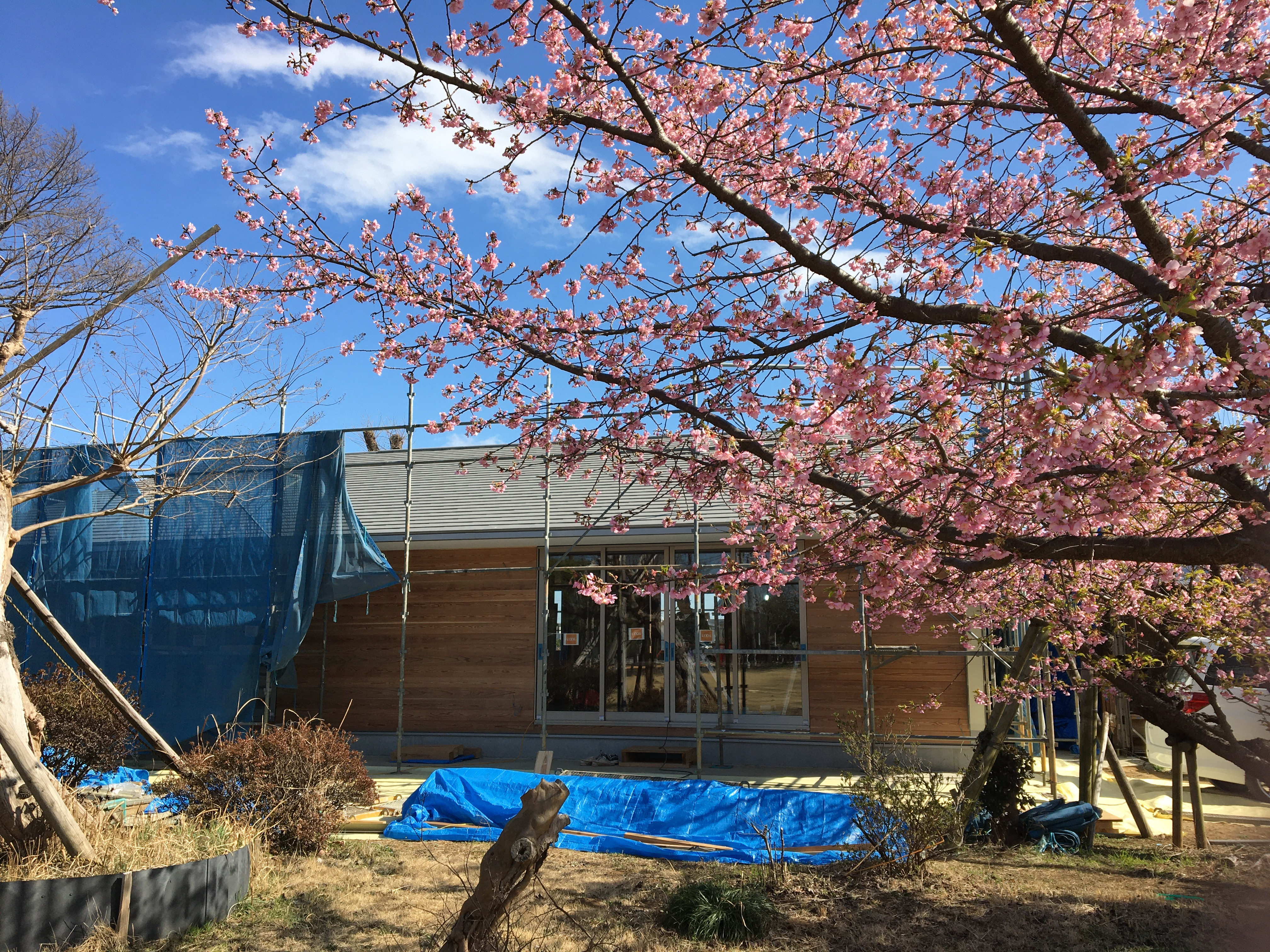 殿山交流の館 順調に建設中🌸春は新しい場所で!