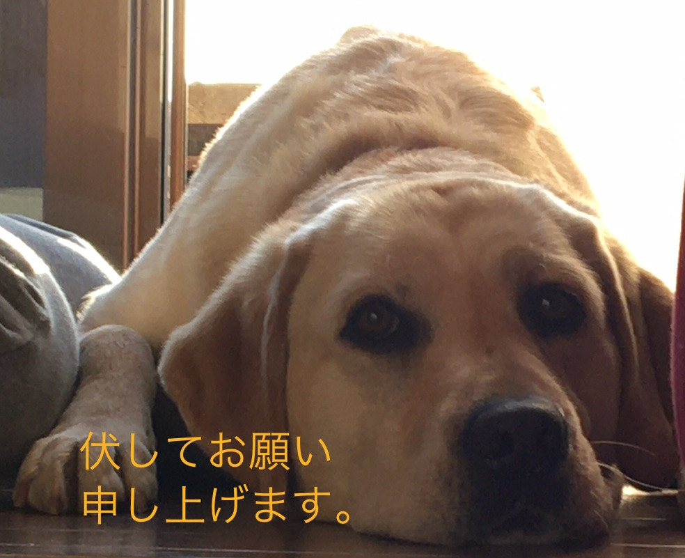引き続き対策の徹底をお願いします