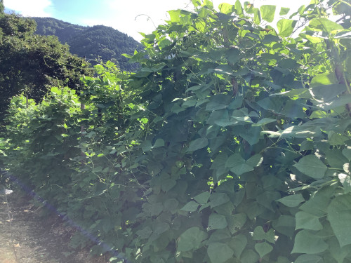 生産者さん 紹介!! part7