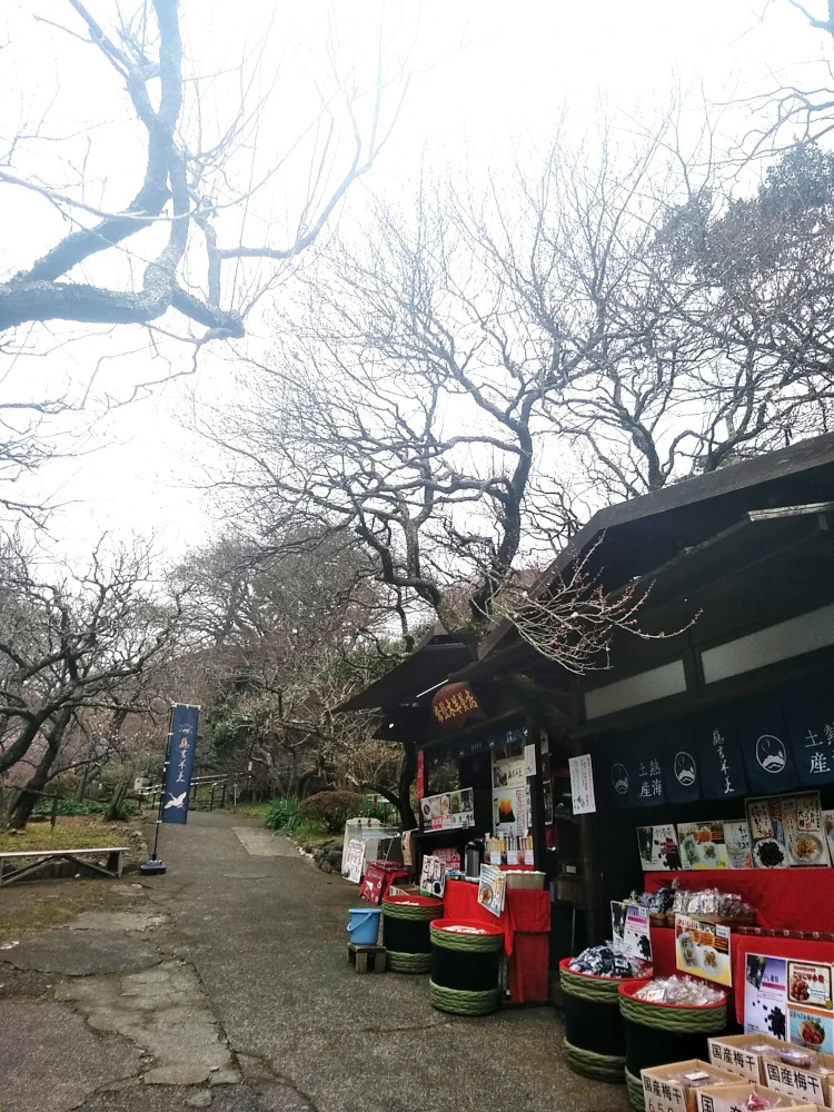 熱海梅園内にも出店中です