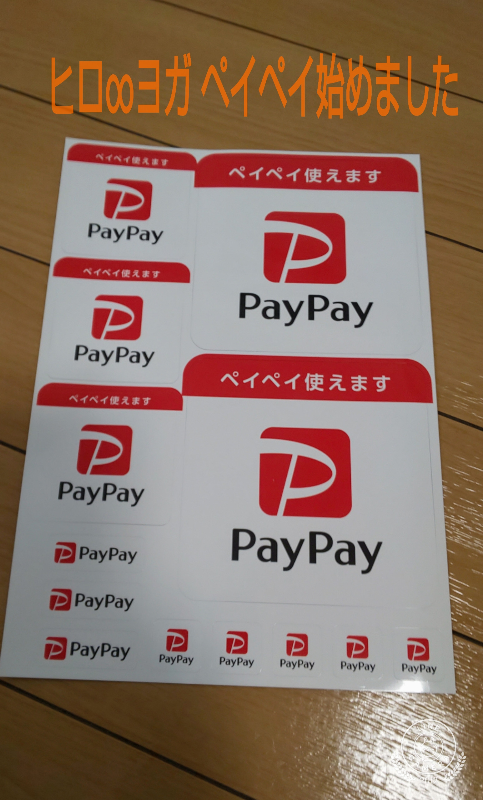 ペイペイ始めました‼️