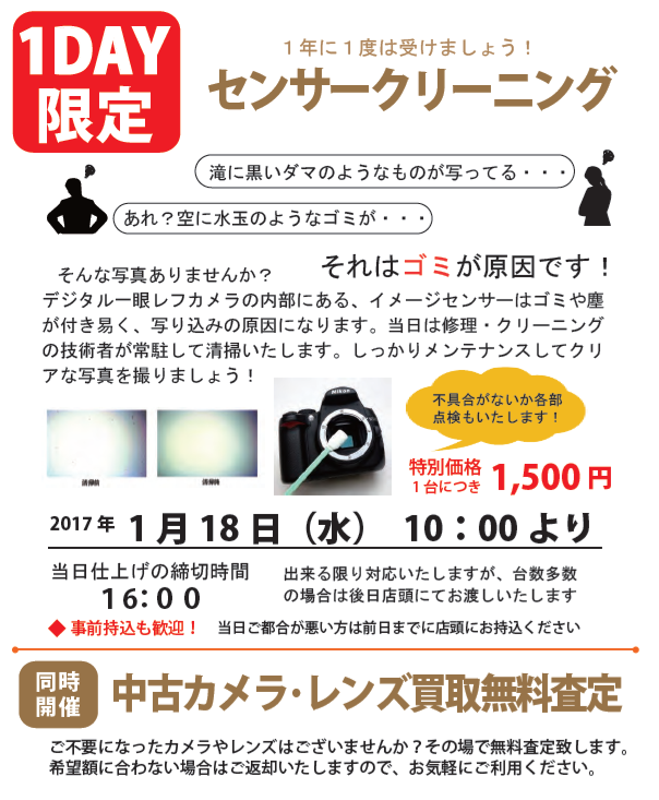 DMうら.png