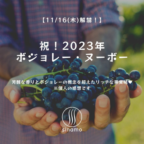 11/16(木)はボジョレー・ヌーボー解禁日