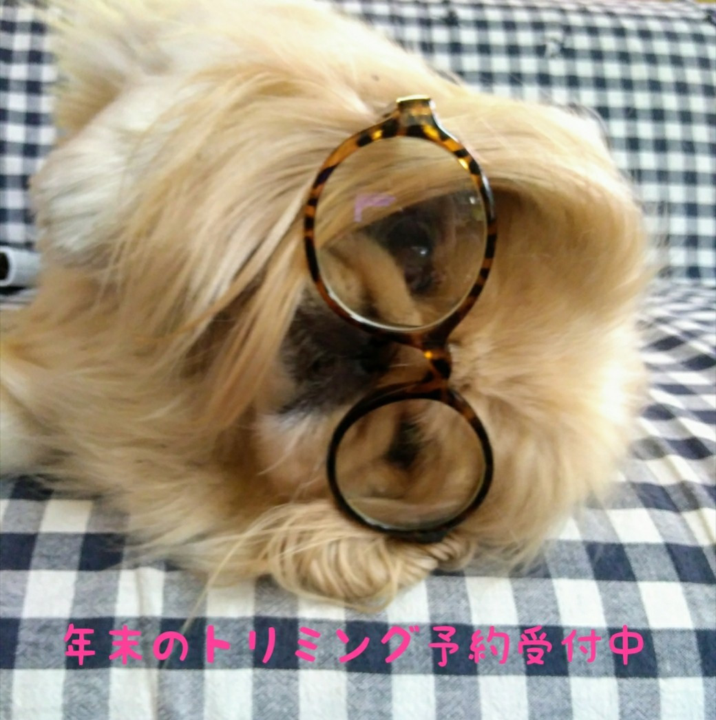Photo editing_Cloud20181123.jpg