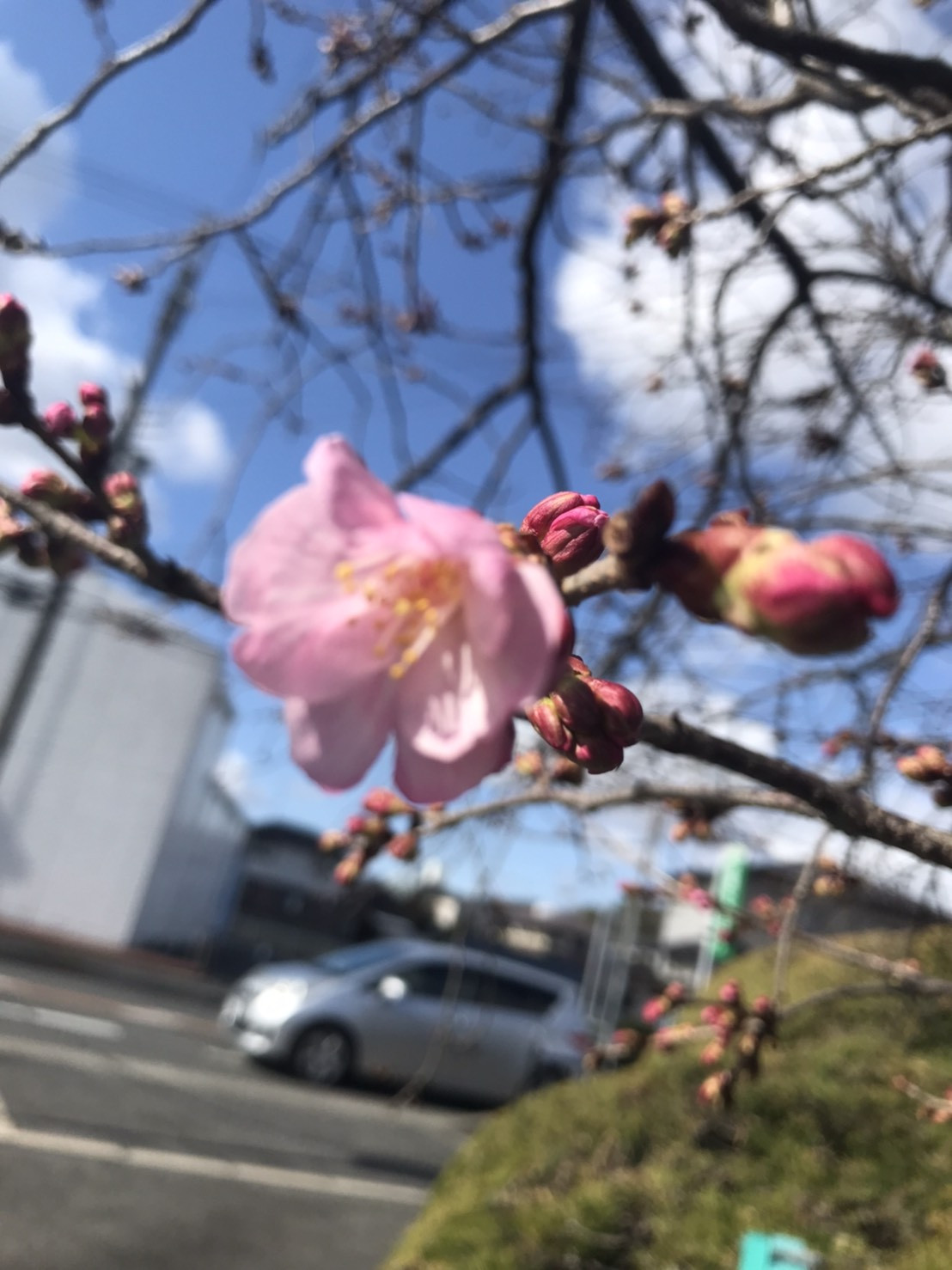 お便り頂きました。💮