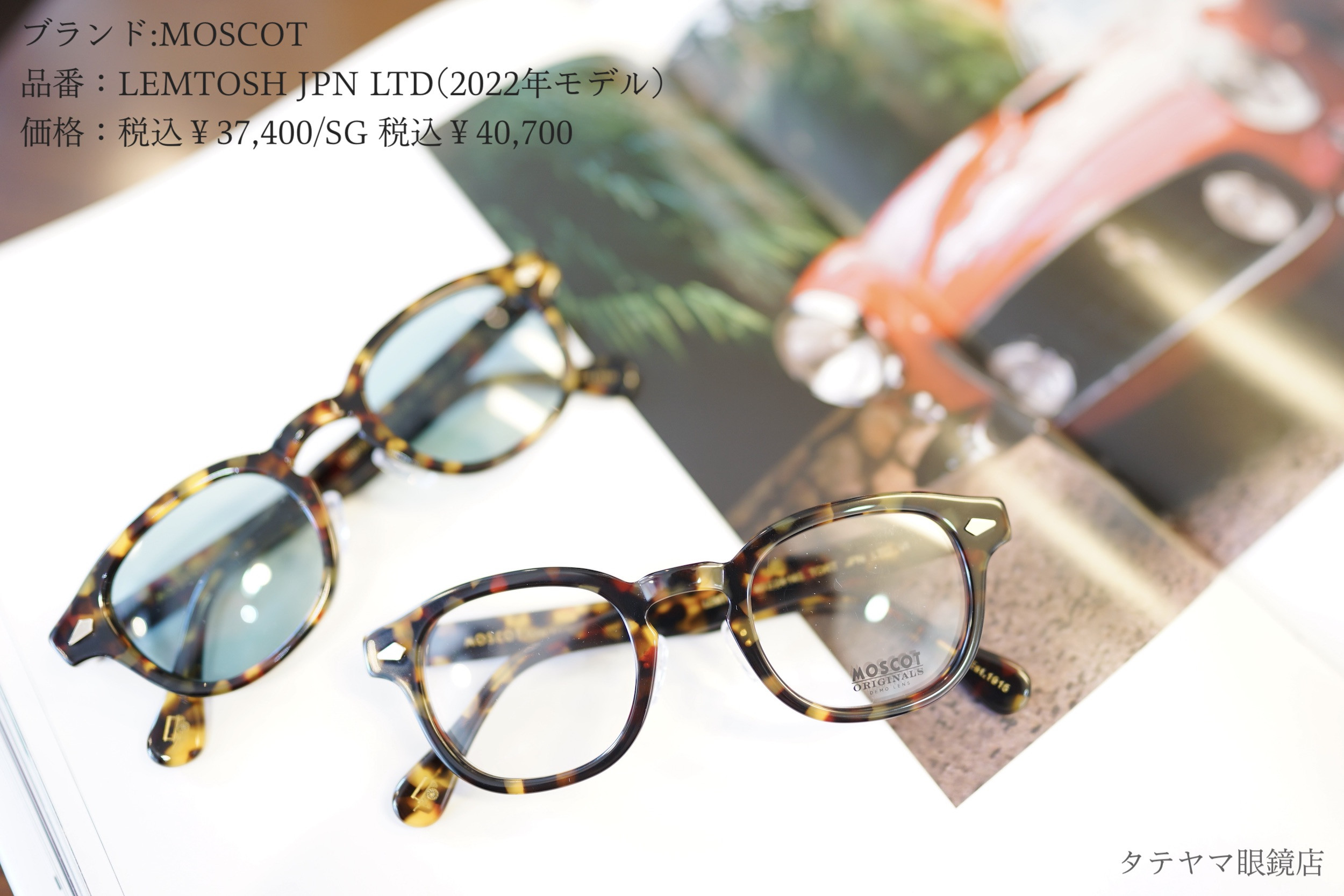 MOSCOT(モスコット)/LEMTOSH,JPN LTD VI col.TORT