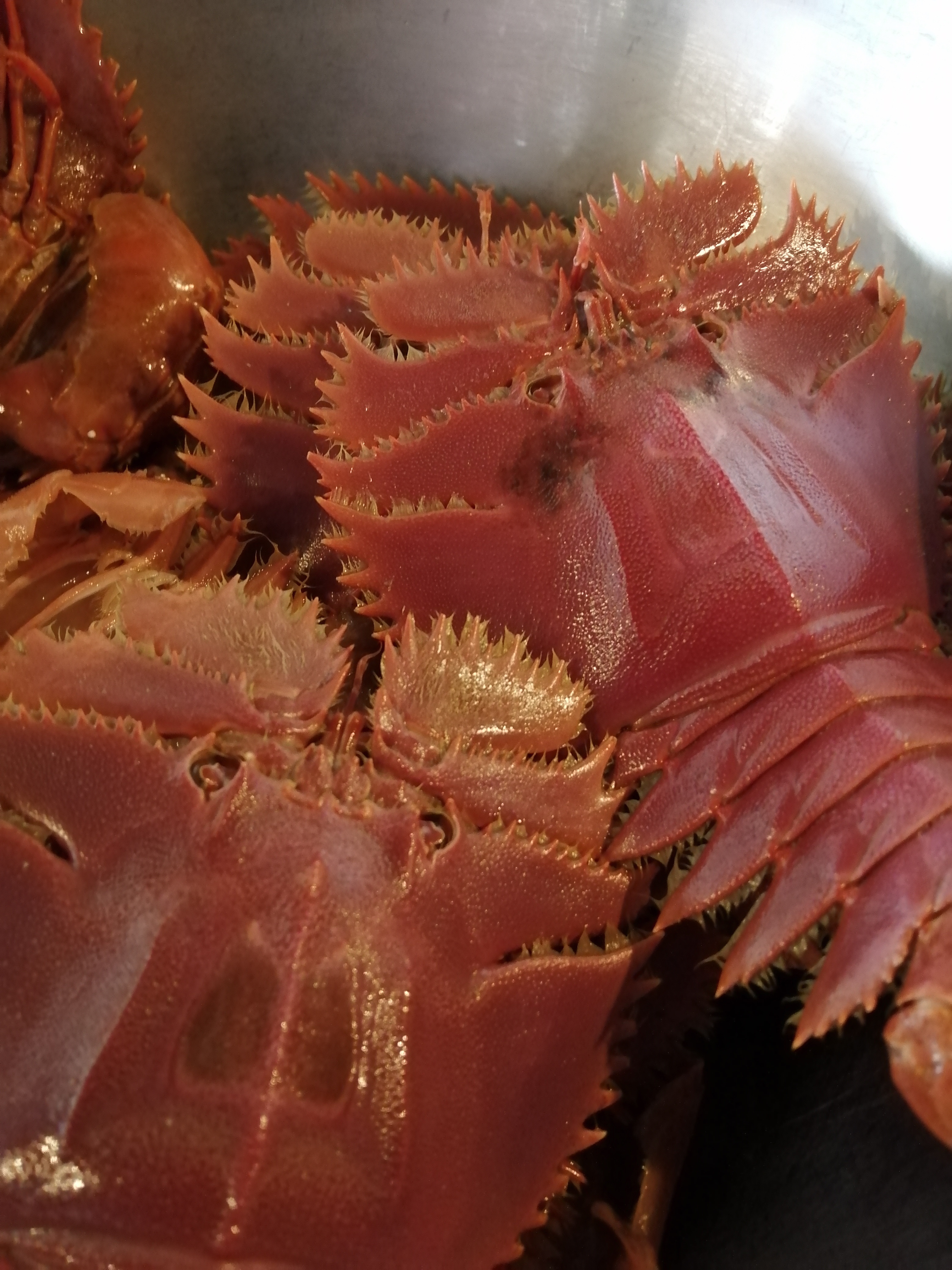 海老好き様へ🦐