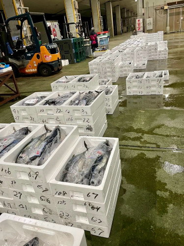 阿武町のしごと〜鮮魚加工(中編)